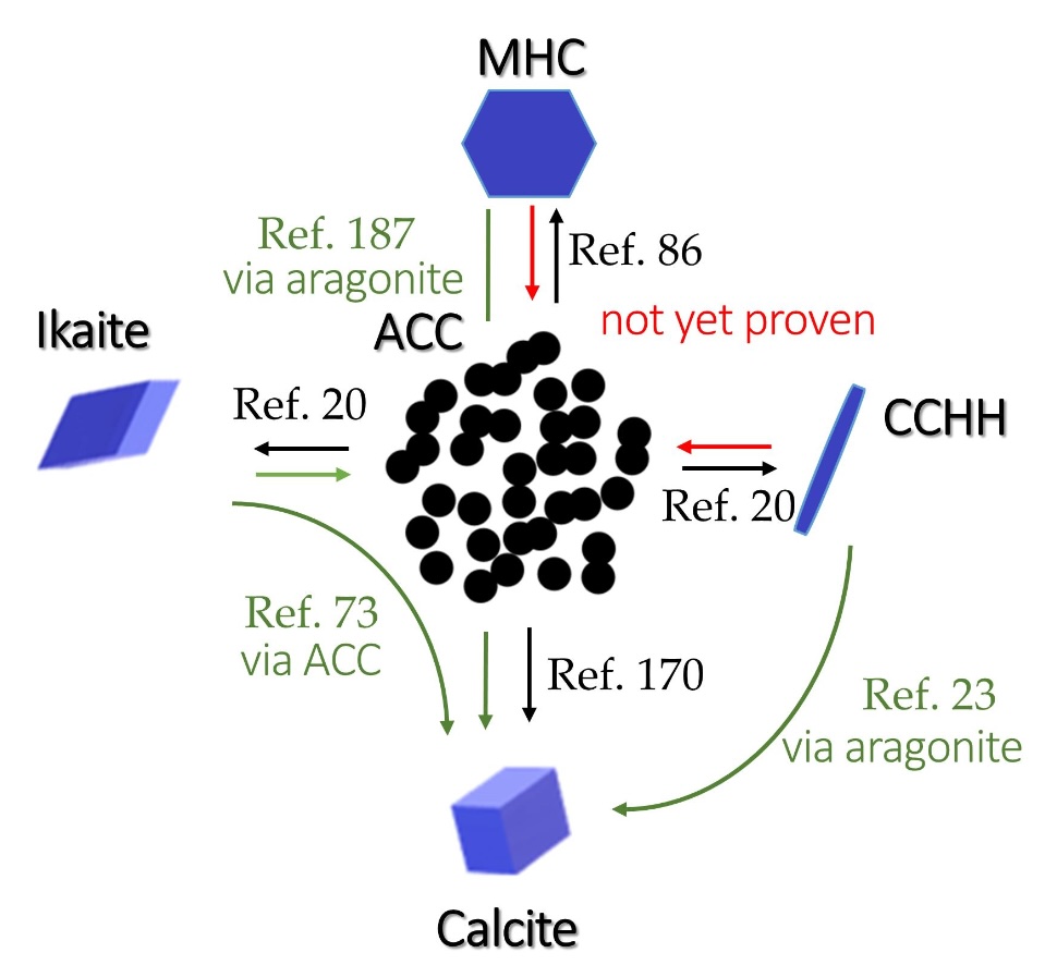 Beres Nemeth Kotai 2025