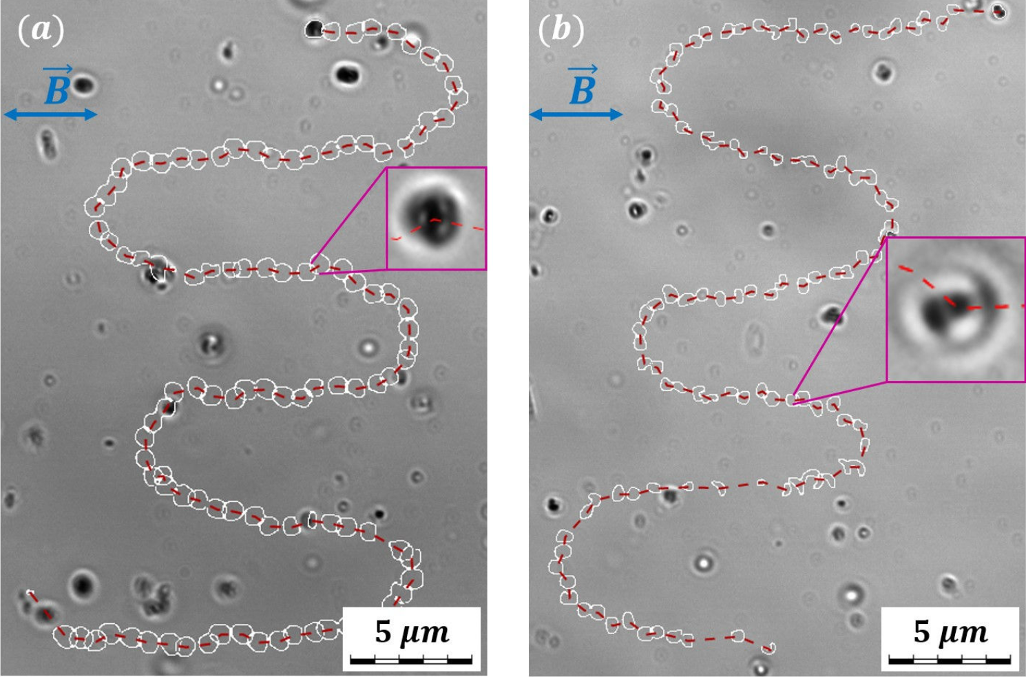 Screenshot 2026 04 13 at 13.48.26