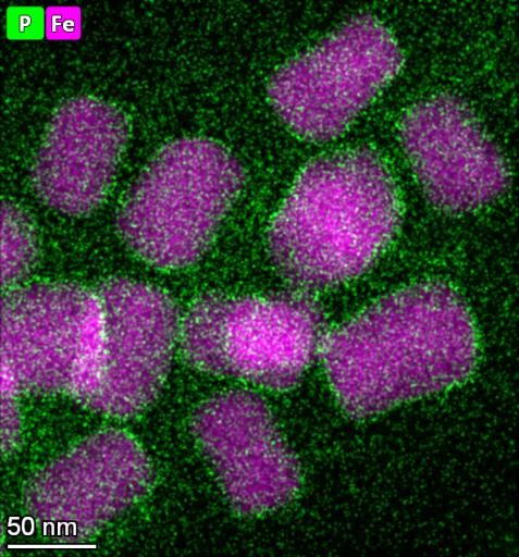 Z2 MTB Balaton membrane